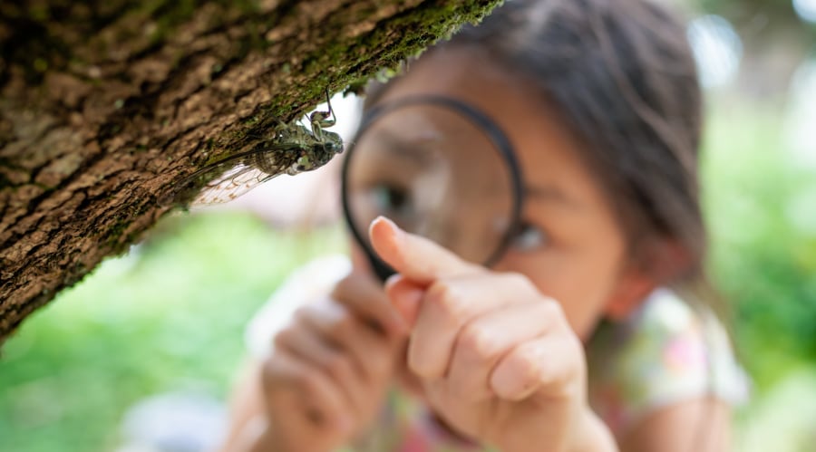 A curious young girl examines an insect