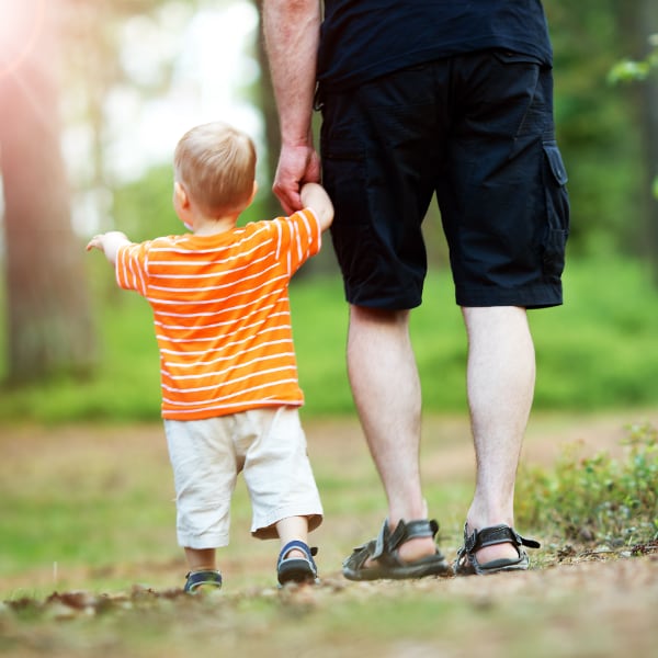 Life is a Journey A father and his toddler walking in the woods